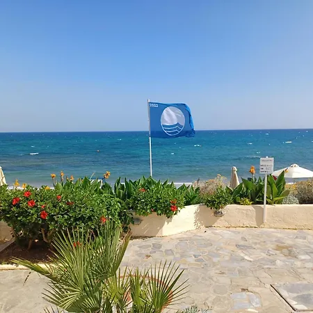 Creta Star - Adults Only Hotel Skaleta